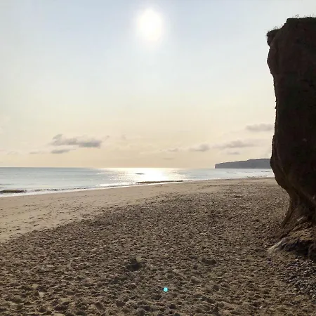 Lees Plaice 度假居 *