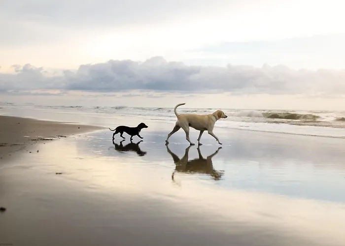 Lees Plaice - Part Of The The Bay Village With Pool, Gym And Direct Access, Pub, Restaurant, Tennis And Meadows Walks * Filey