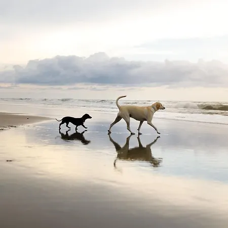 Lees Plaice - Part Of The The Bay Village With Pool, Gym And Direct Access, Pub, Restaurant, Tennis And Meadows Walks * Filey